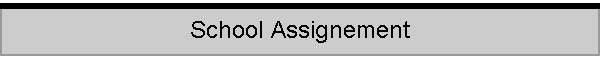 School Assignement